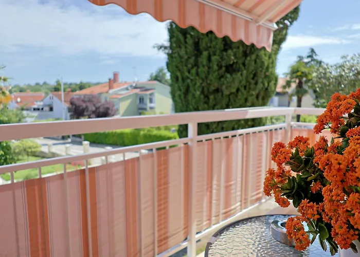 House Maric * ポレッチ